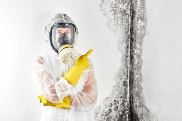 Best Water damage restoration company  in West Milton, OH